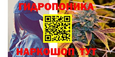 ПСИЛОЦИБИНОВЫЕ ГРИБЫ Баксан