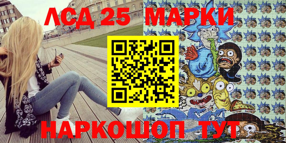 APVP Бердск