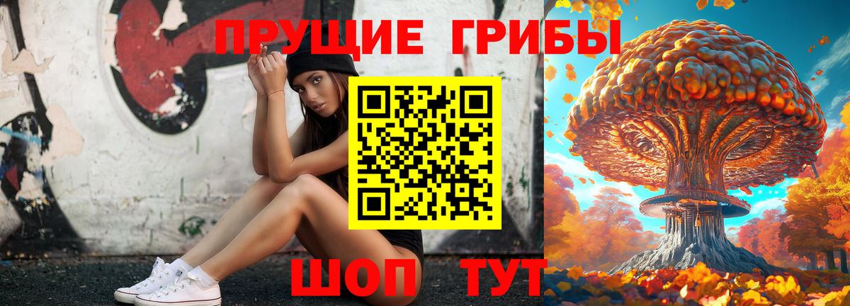 как найти закладки  Вход с VPN  Бердск  Псилоцибиновые грибы Cubensis 